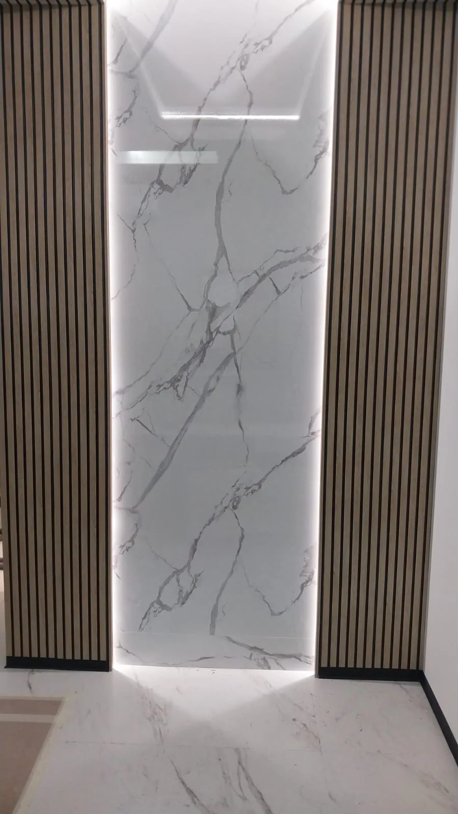 Проект № 20.2